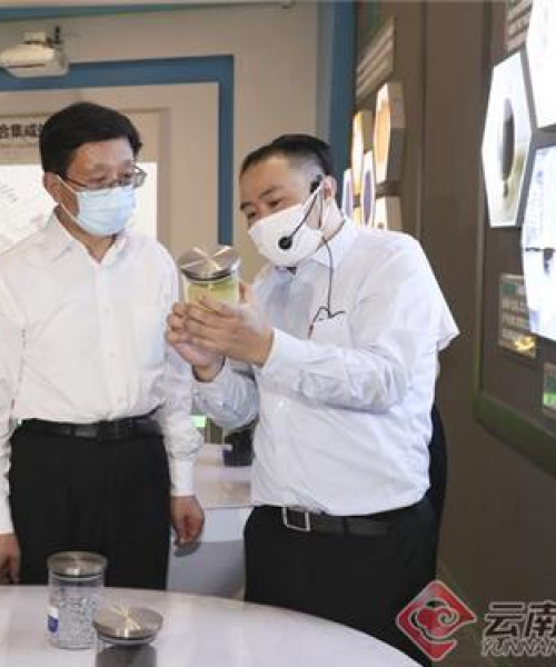 红河州排名前十强企业深度解析