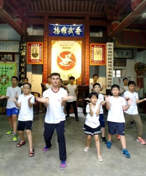 福建拳术流派排名前十名