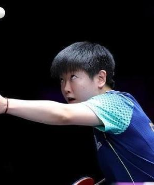 2024澳门生肖号码表图：鼠、狗、蛇、羊，精准落实