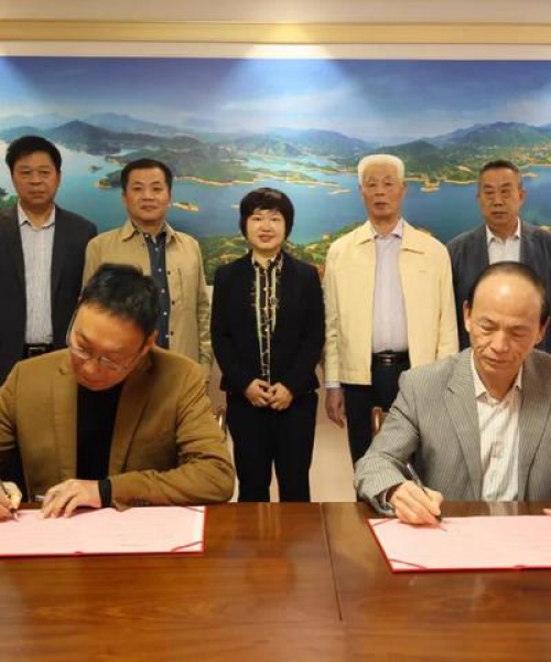 码头装饰公司排名及其行业影响力深度解析