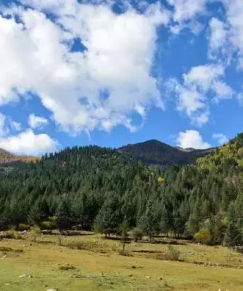 美国登山博主排名榜最新