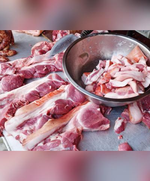 广东今日最新瘦肉价格报告