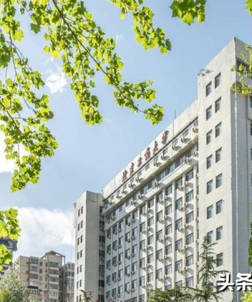 官方观点：澳门今晚必开1肖｜最新解读与分析