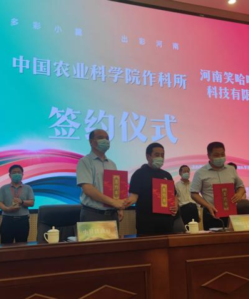 新乡杀虫公司排名及其专业服务详解