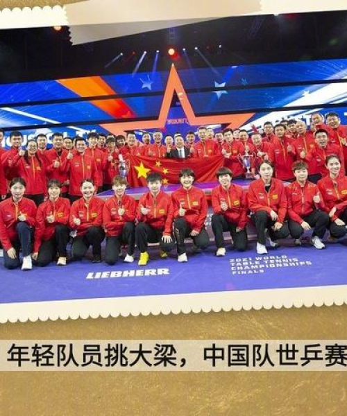 2025新澳门全年免费｜问题总结执行方案