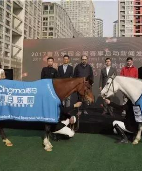 全球兽医人数排名