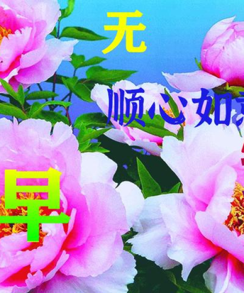 早安励志语录