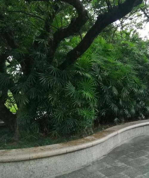 荔枝公园周边优质房源出租信息（最新）