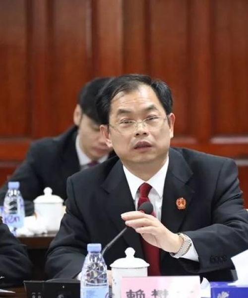龙门县惠民镇新闻头条——引领地方发展的先锋力量