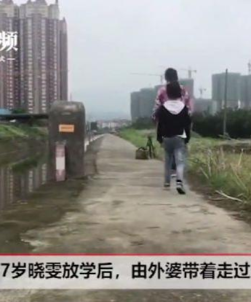 蔡甸区最新动态，新闻头条与数据深度解析