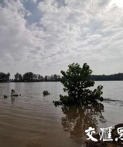 沭阳今日大暴雨视频最新报道