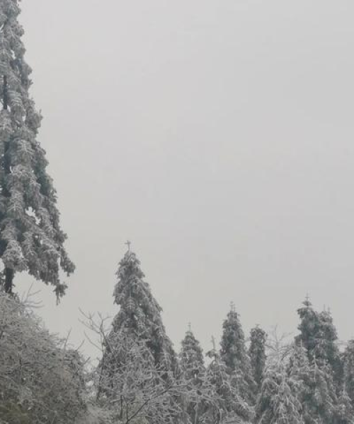 今日雪景直播，重庆最新消息雪中美景一览