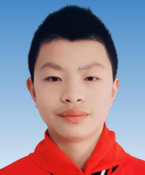 魔方世界排名总和，揭秘顶级玩家的荣誉之战