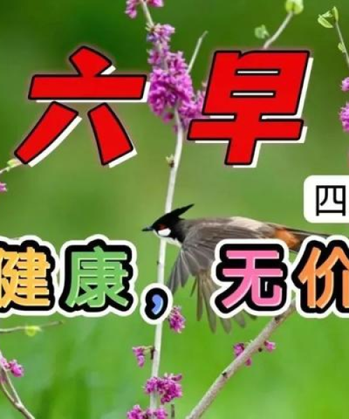 读书早安语录励志