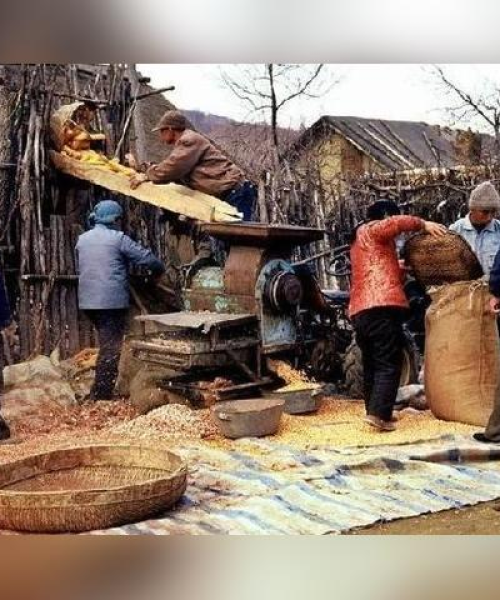 世界黄牛排名