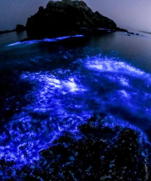 世界黑石沙滩排名前十名