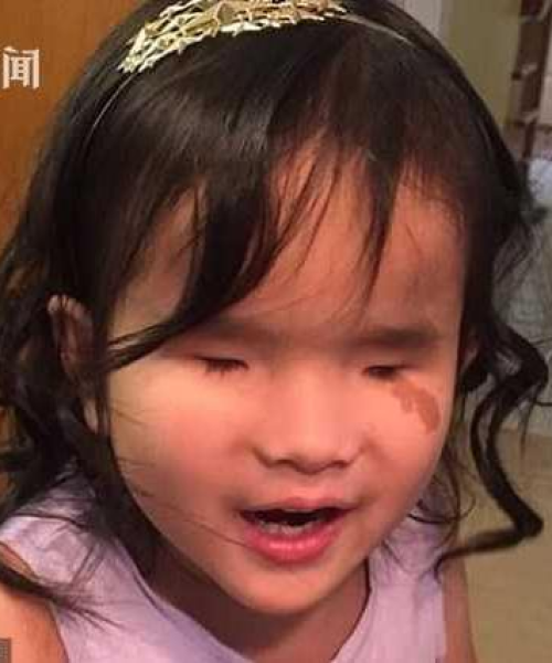 就地取材
