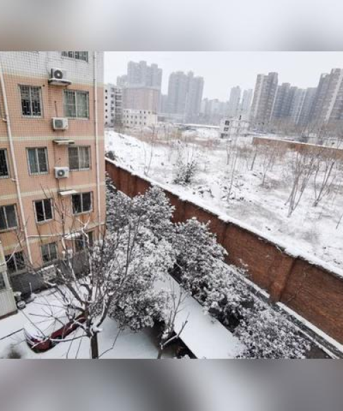 平顶山今日雪景最新消息报道