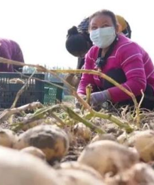库车疫情最新消息今日