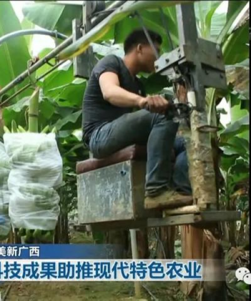 今日崇左头条最新消息
