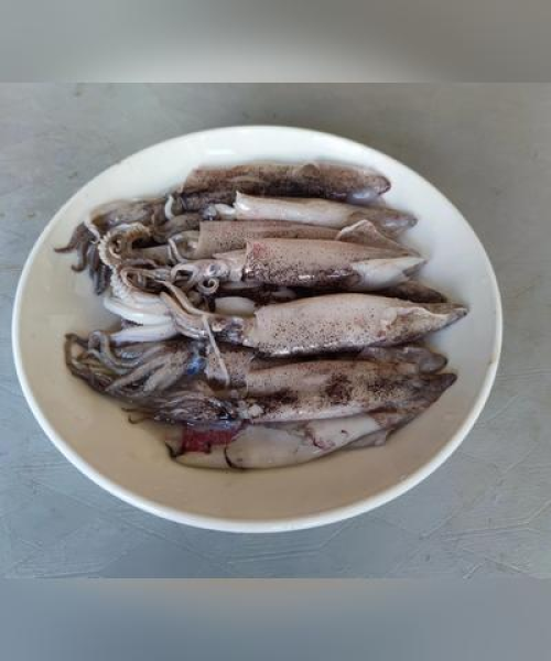 世界海鲜集团排名